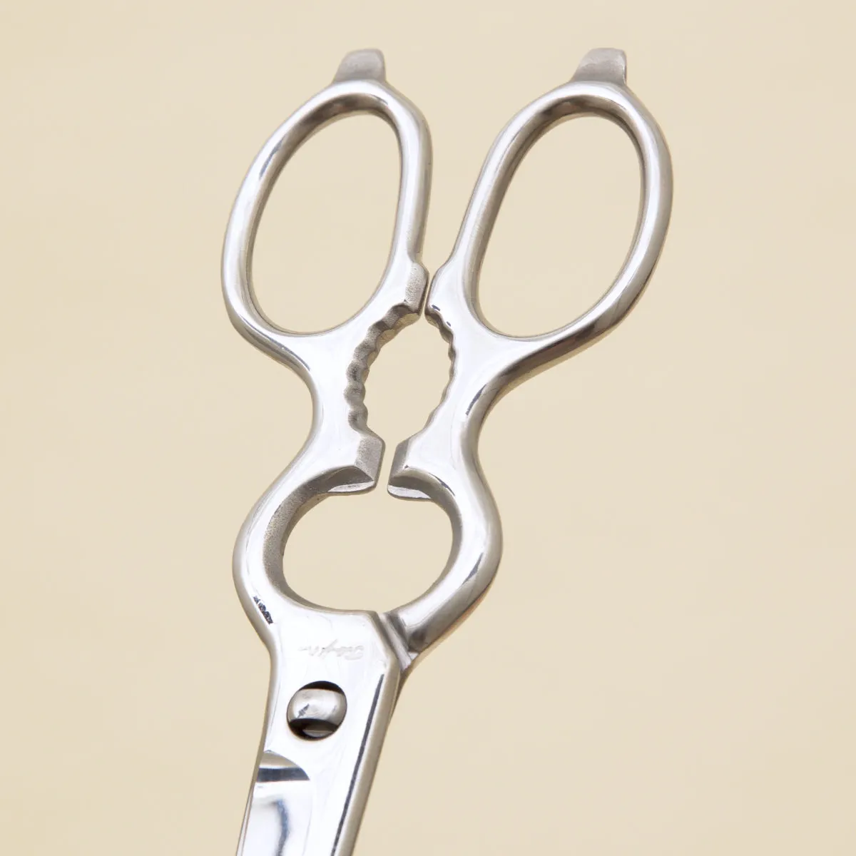 Detachable Kitchen Scissors